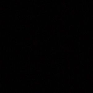 Meet your Posher, Camryn